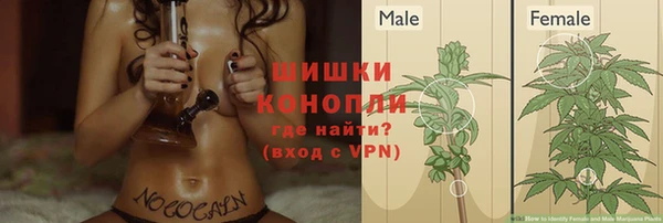 мяу мяу мука Каменка