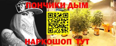 дмт Кандалакша