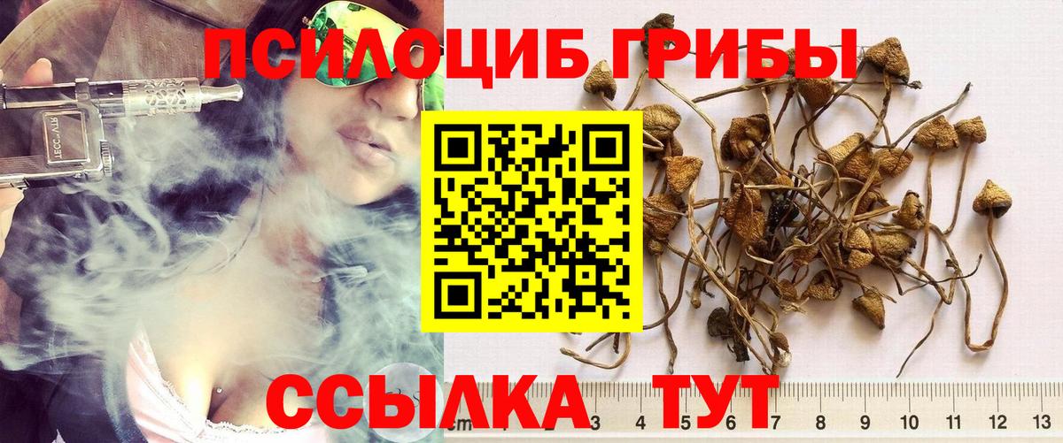 Галлюциногенные грибы ЛСД  наркотики  Михайловка  Вход с VPN 