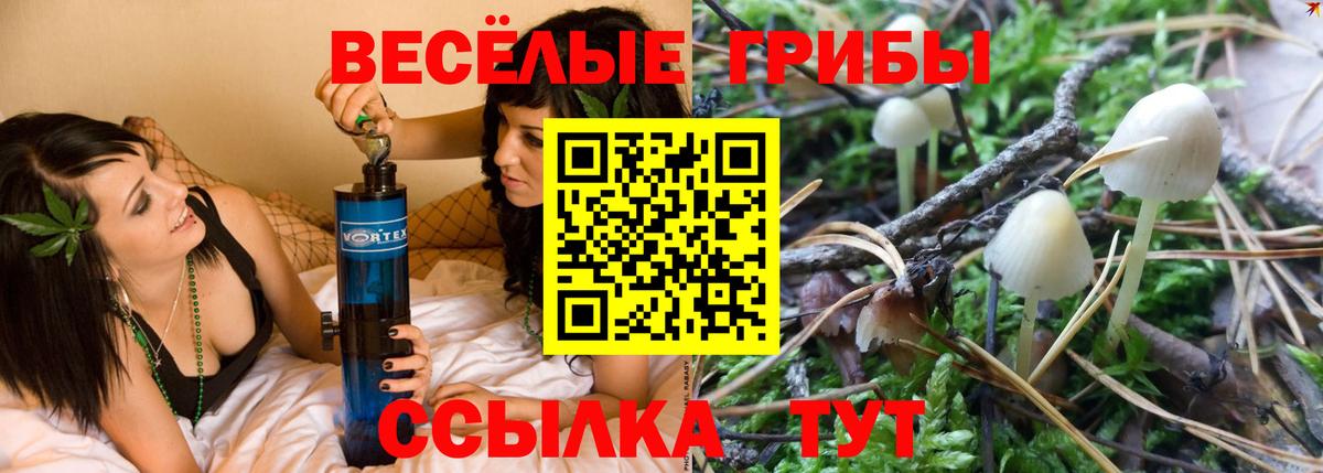  Cocaine Михайловка