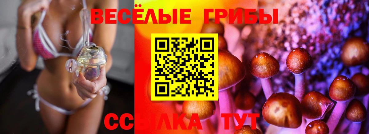 Галлюциногенные грибы прущие грибы Михайловка