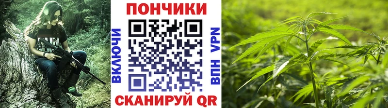 площадка наркотические препараты  Михайловка  Конопля тримм 
